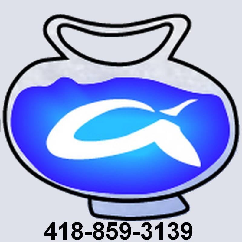 36776646_10204925608735238_6631176308111966208_n